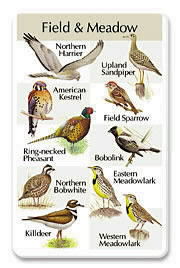 Field and Meadow SongCard.jpg